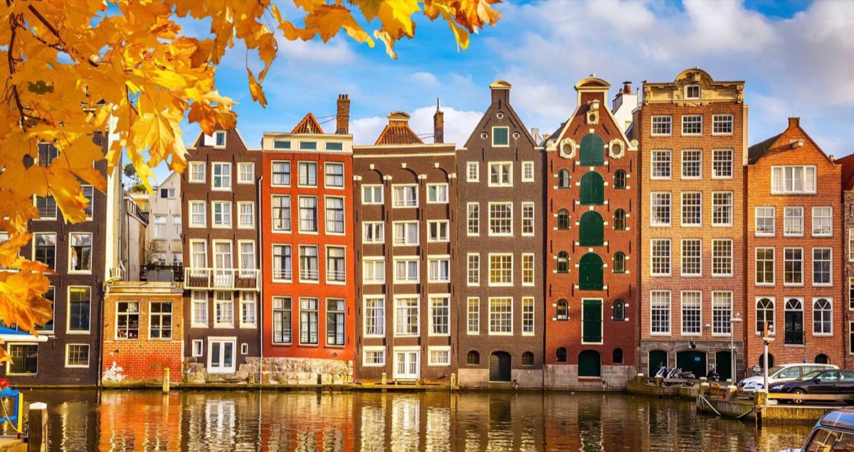 11th INPLP conference — Amsterdam, 2026